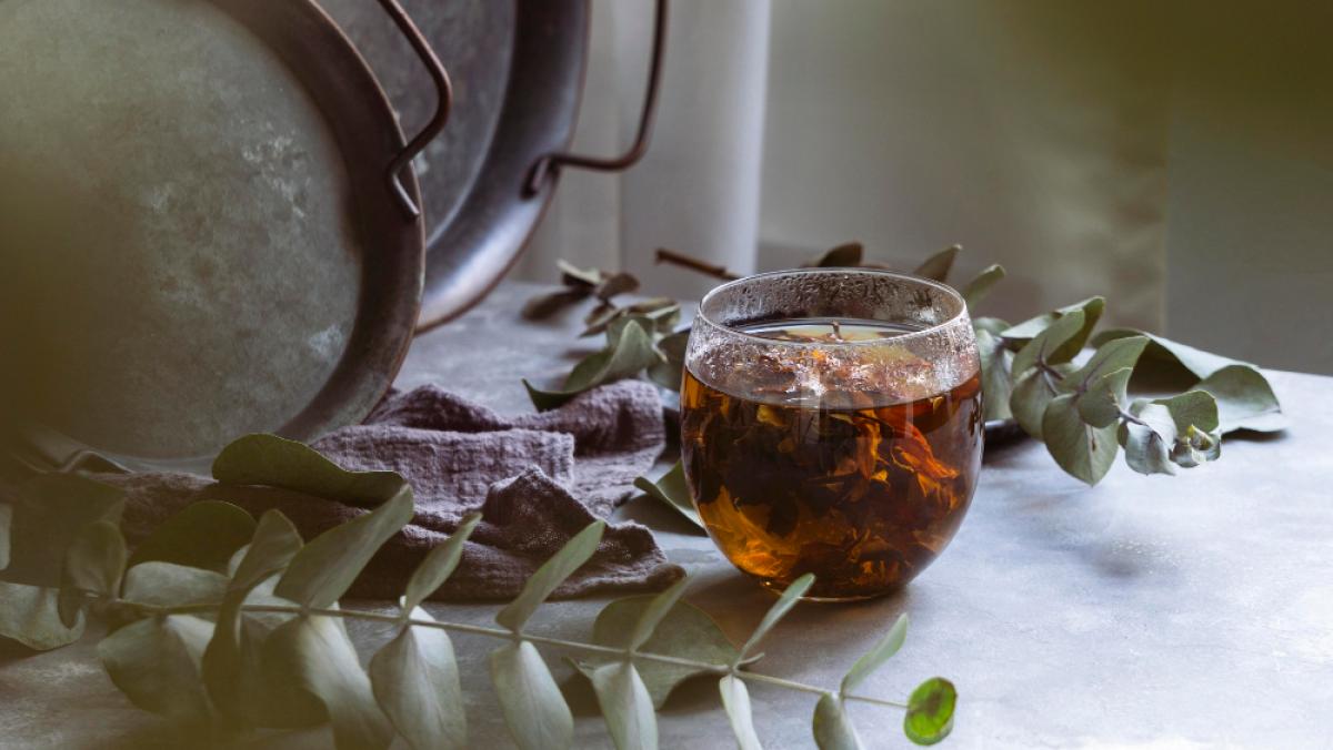 Le 5 tisane anti nausea da preparare a casa: ingredienti e avvertenze