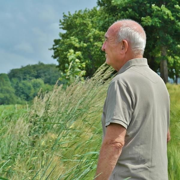 Pensione di vecchiaia, reversibilità e invalidità: cambia tutto, le novità che anticipano la riforma delle pensioni del governo Meloni