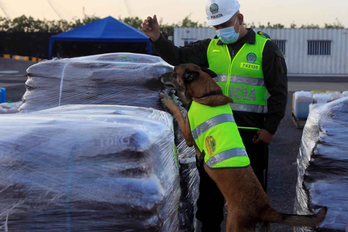 Trieste, errore del pm lascia libero pericoloso narcotrafficante co…