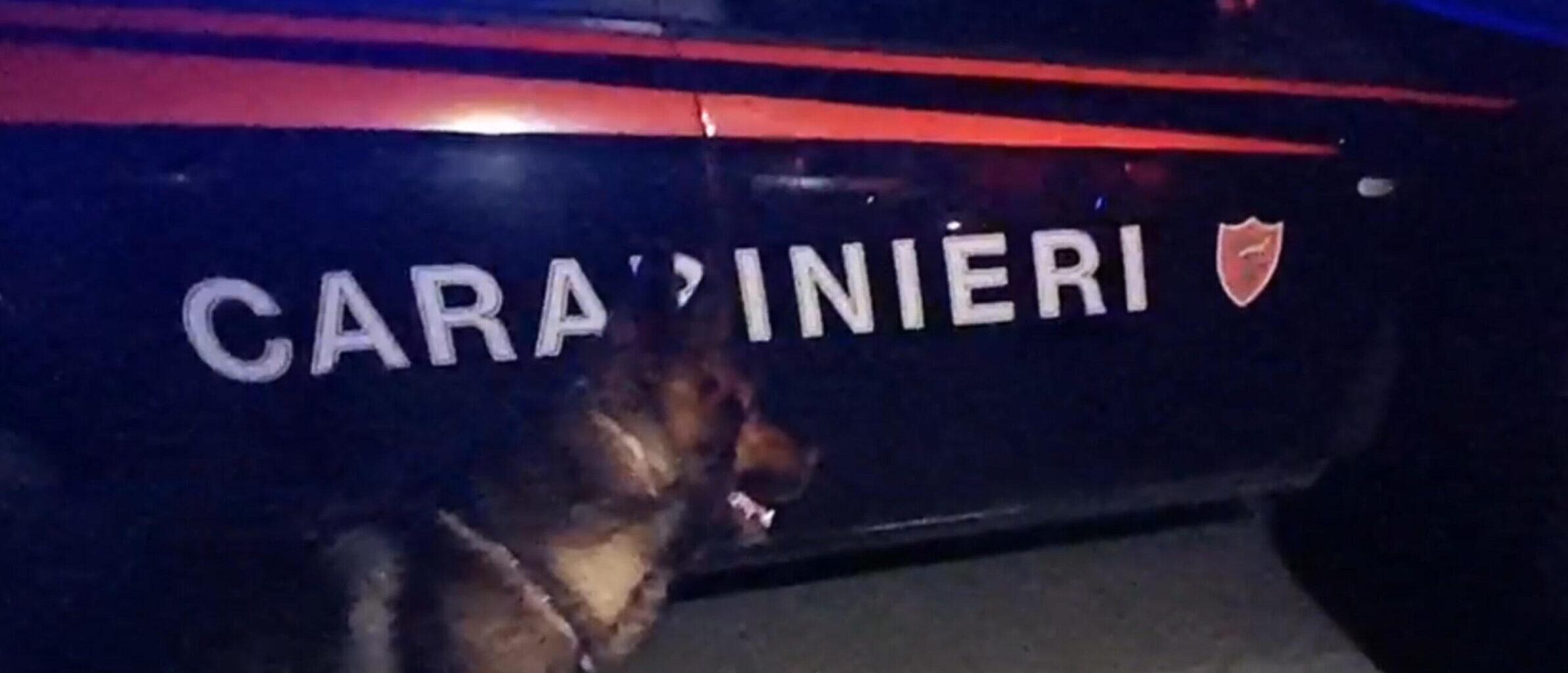 Enna, blitz antimafia in mattinata: 7 arresti