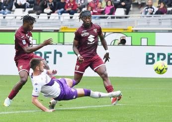 Torino-Fiorentina 1-1, Sanabria risponde a Jovic