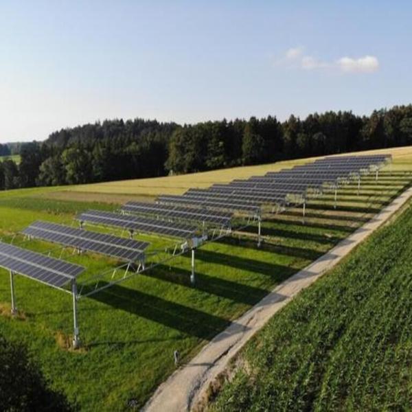 Bonus agrivoltaico, uscito il decreto: chi può presentare domanda dei contributi a fondo perduto e tariffe produzione energia