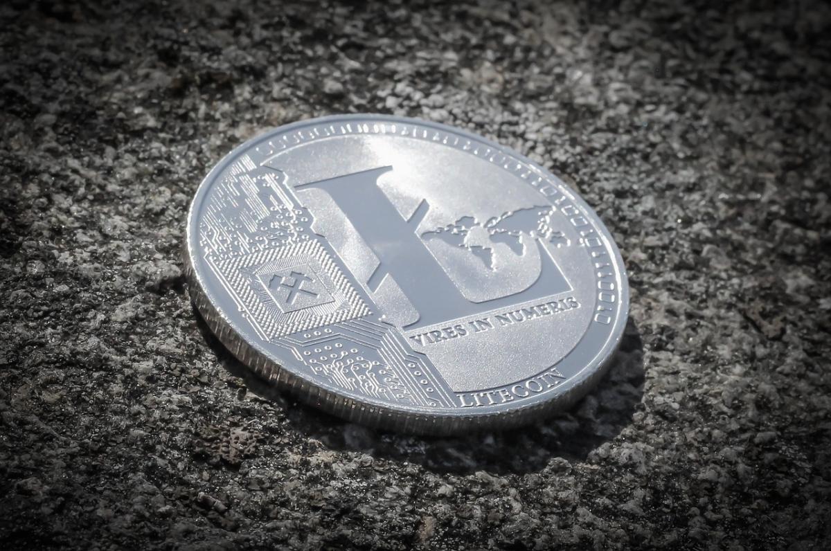 Litecoin, come potrebbe andare nel 2024