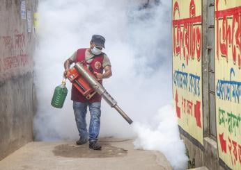 In Europa crescono i casi di Dengue, la “febbre spaccaossa”: primi casi in Francia