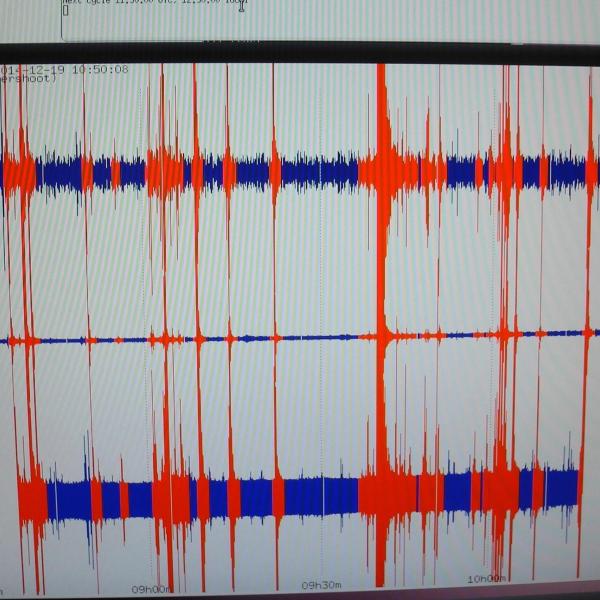 Usa, scossa di terremoto di magnitudo 4.9 in Texas: non ci sono feriti