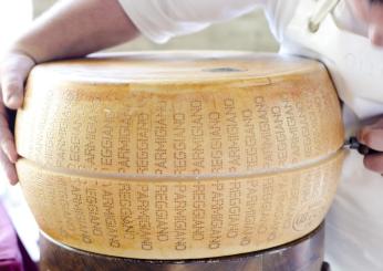 Il Parmigiano vince il premio come formaggio più buono al mondo