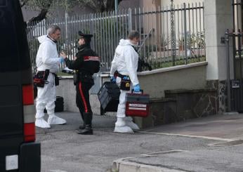 Chi è Mauro Pedrotti, l’uomo che ha confessato l’omicidio della madre Santina Delai a Puegnano del Garda