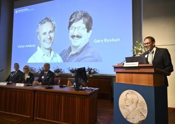 Chi sono Victor Ambros e Gary Ruvkun e perché hanno vinto il premio Nobel per la medicina 2024