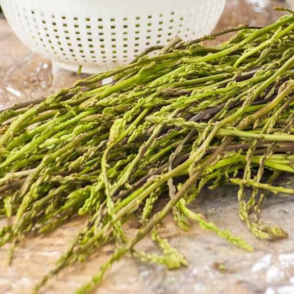 Gli asparagi, gli ortaggi di stagione