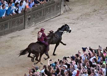 Palio di Siena 2 luglio 2024: dove vederlo in tv e in streaming. Orari, fantini, contrade e programma della tradizionale competizione toscana