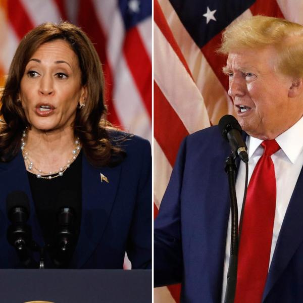 Kamala Harris contro Trump, chi è avanti nei sondaggi e quali sono gli stati in bilico?