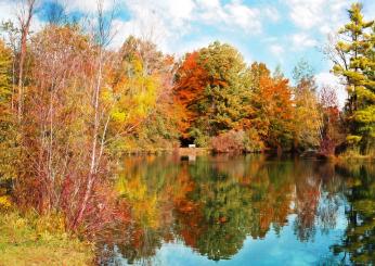 Dove vedere il foliage più bello: i luoghi consigliati per il 2024