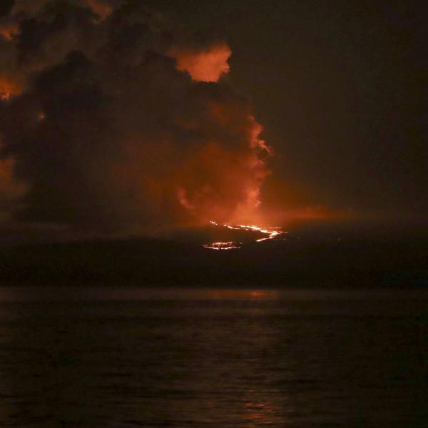 Galapagos, erutta il vulcano La Cumbre: diverse specie di animali a rischio