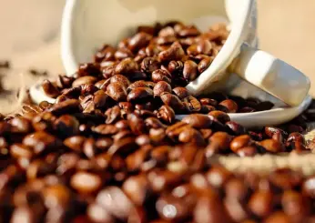 Milan coffee festival, dal 12 al 14 l’evento dedicato agli amanti del caffè