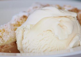 L’estate è più buona con i biscotti gelato fatti in casa