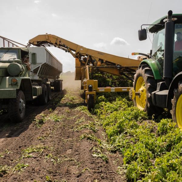 Impresa agricola giovanile: tutte le agevolazioni 2024