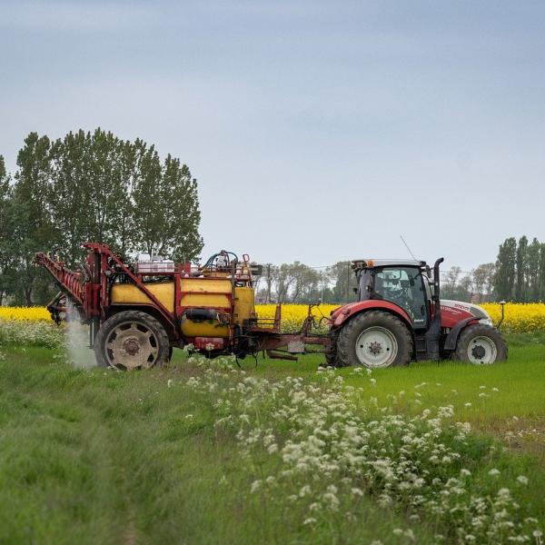 Terreni agricoli, è boom di vendite in tutta Italia