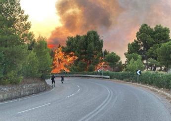 Incendi estate 2022, Coldiretti: “In Italia cinque grandi roghi ogn…