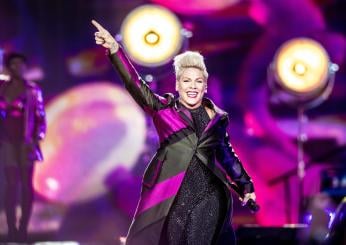 Pink si esibisce in concerto e un fan le lancia le ceneri della mad…