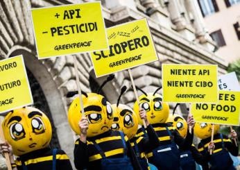 Legge sui pesticidi Ue, cosa prevede e perché è stata ritirata