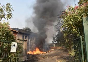 Incendi, l’allarme di Legambiente: a fuoco 51mila ettari di vegetazione nel 2023