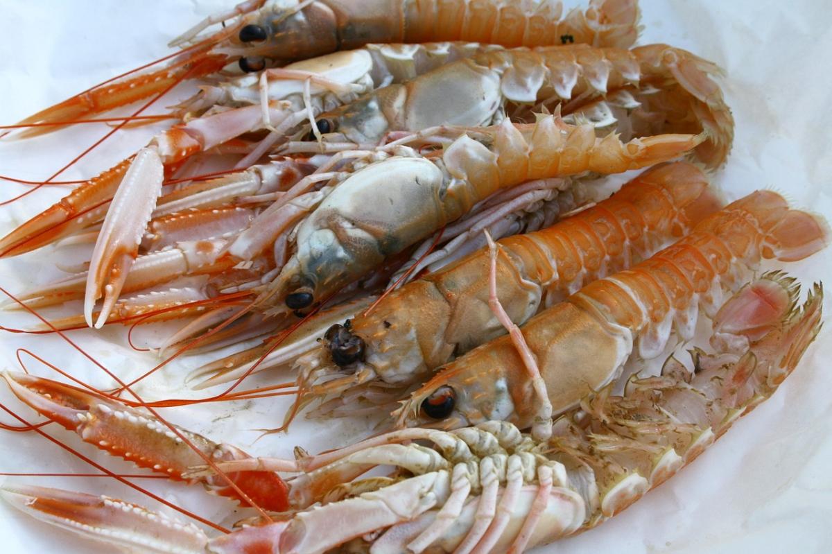 Come cucinare gli scampi: le ricette per non sbagliare