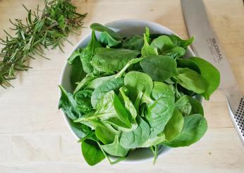 Ricette velocissime: il rotolo di spinaci e ricotta