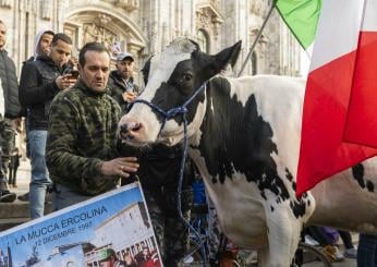 Esenzione Irpef terreni agricoli? Il Governo si arrende e pensa ad una proroga. Emendamenti anche da Lega, FI, Pd e Iv