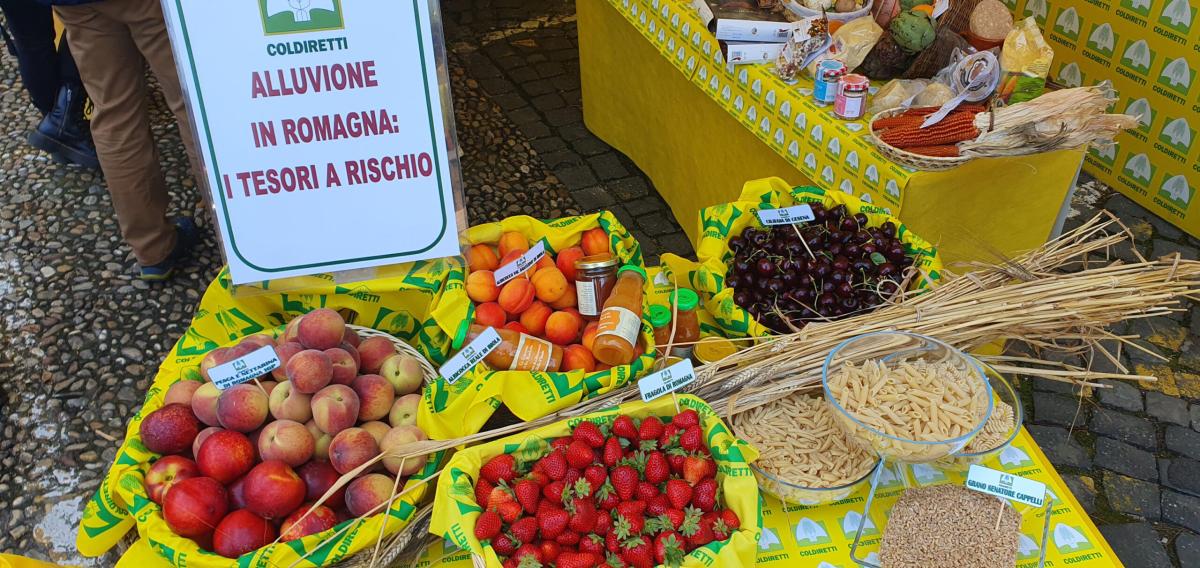 Alluvione Emilia Romagna, Coldiretti: “Agricoltura devastata”