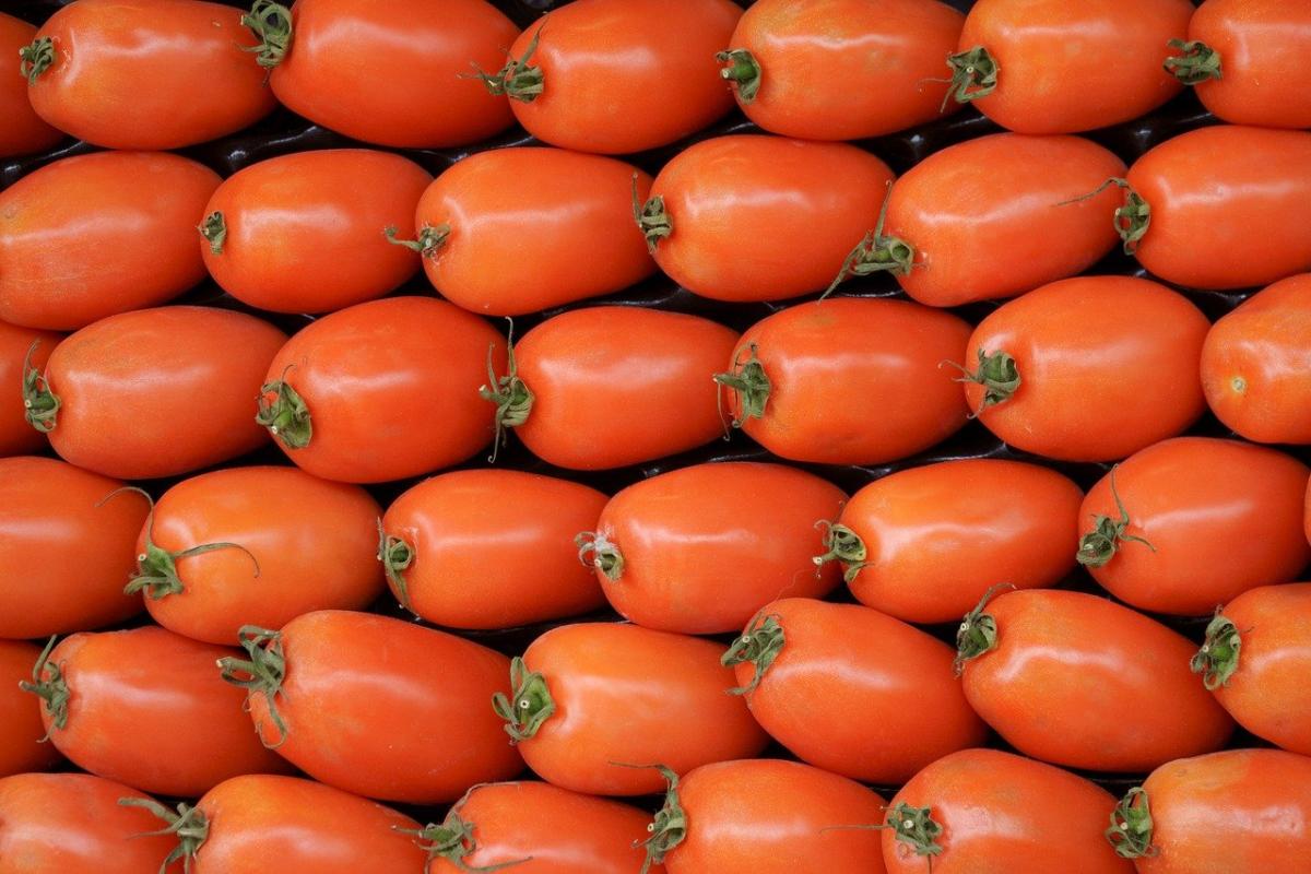 Italia vera: la passata di pomodoro fatta in casa