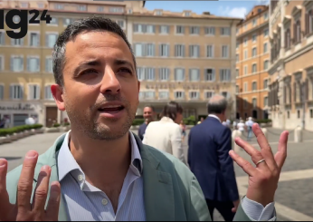 Prove di campo largo, Furfaro (PD): “Questo governo sta facendo danni su danni, dobbiamo unirci in progetto comune”| VIDEO