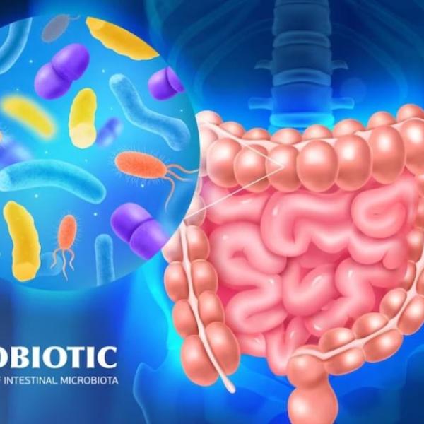 Probiotici, cosa sono e a cosa servono? Qual è la differenza tra fermenti lattici e probiotici? In quali alimenti sono contenuti?