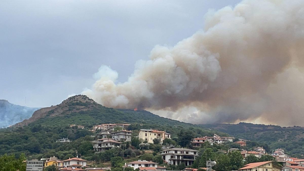 Incendi, Sicilia la regione più colpita. In Italia nel 2021 è andat…