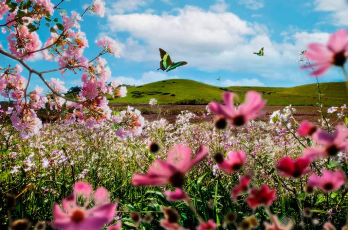 L’impatto della primavera sulla salute, ecco tutti i benefici della bella stagione