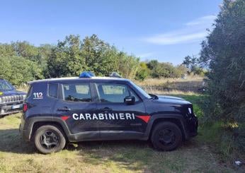 Barletta, cadavere carbonizzato trovato nelle campagne. Cosa dice l…