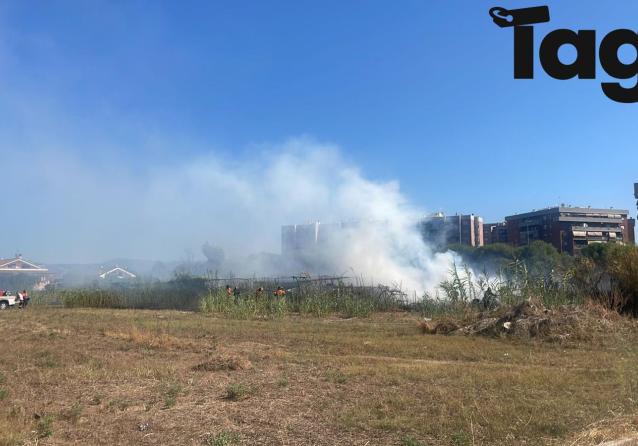 Incendio a Roma oggi, fiamme alte e fumo nero a viale Ciamarra: cosa è successo? | FOTO e VIDEO