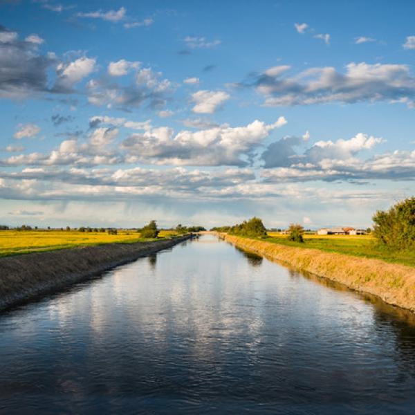 Gestione sostenibile dell’acqua in agricoltura, le strategie per affrontare la siccità