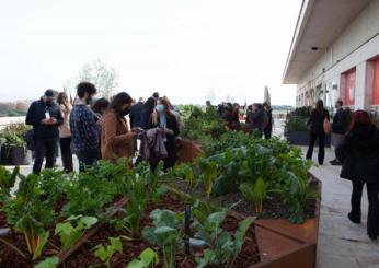 Giardino idroponico sul tetto della Fao: quali sono i vantaggi dell’agricoltura sostenibile a Roma