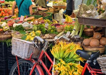 Spesa gratis a casa: al via il Reddito alimentare per chi vive in queste città