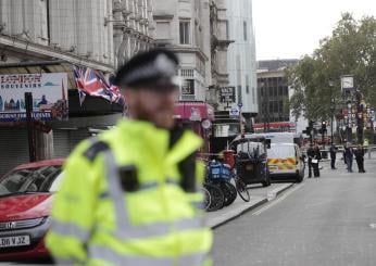 Londra, polizia uccide due cani e colpisce un uomo con il taser