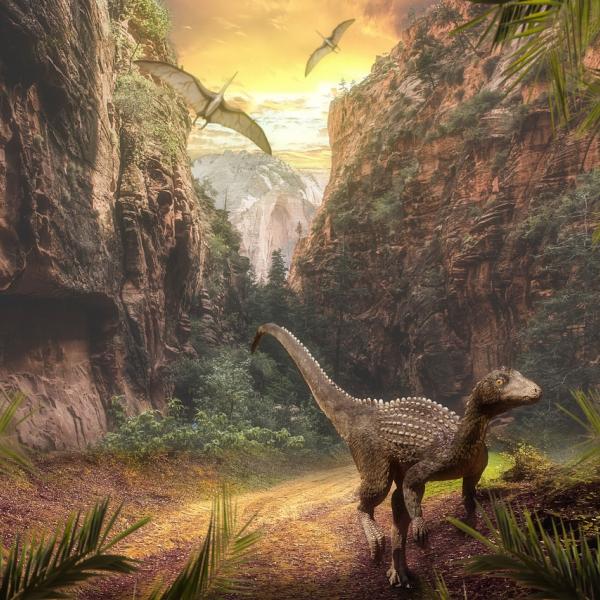 Quante specie di dinosauri sono state scoperte? Ecco alcune delle più importanti, da ieri a oggi