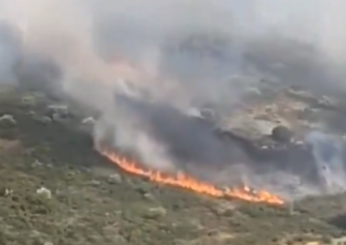 Incendio in Francia, evacuati 3mila campeggiatori in Occitania: cosa sta succedendo? | VIDEO