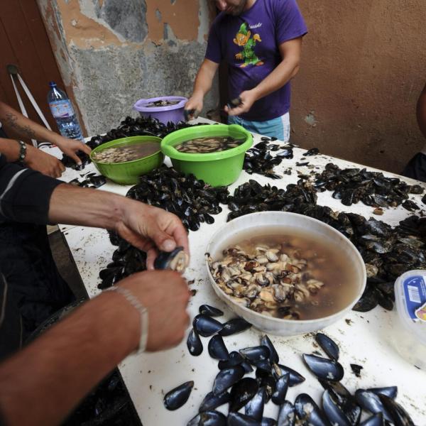 Venezia, l’impresa da Guinness World Record a Malamocco: tavolata di 200 metri e 20 mila cozze gratinate