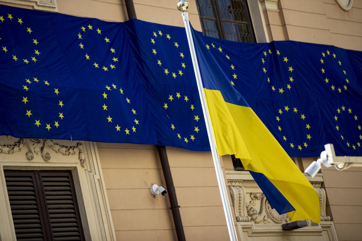 Parlamento Europeo, l’eurodeputato slovacco Miroslav Radacovsky libera una colomba bianca in aula: “Messaggio di pace per l’Europa” | VIDEO