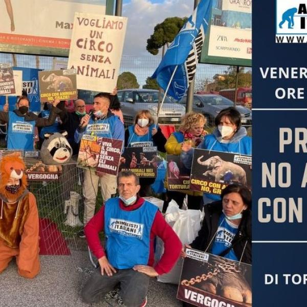 Roma, la Manifestazione di protesta dell’Associazione Animalisti Italiani all’esterno del Circo Orfei il 6 Gennaio