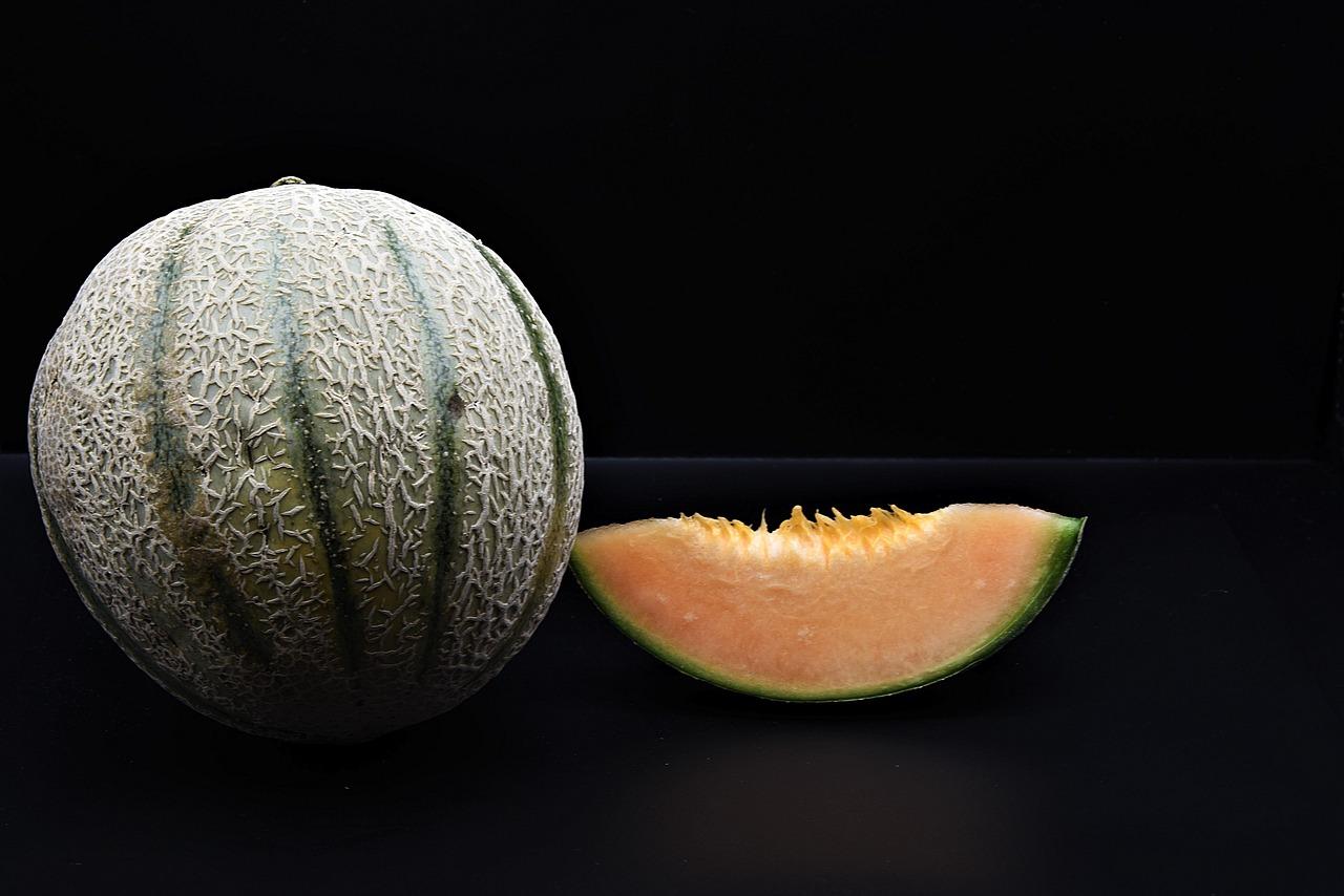 ricette di dessert al melone