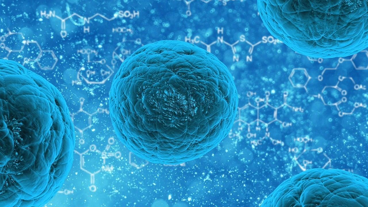 Klebsiella: cos’è, quali sono i sintomi e come si tratta il batterio