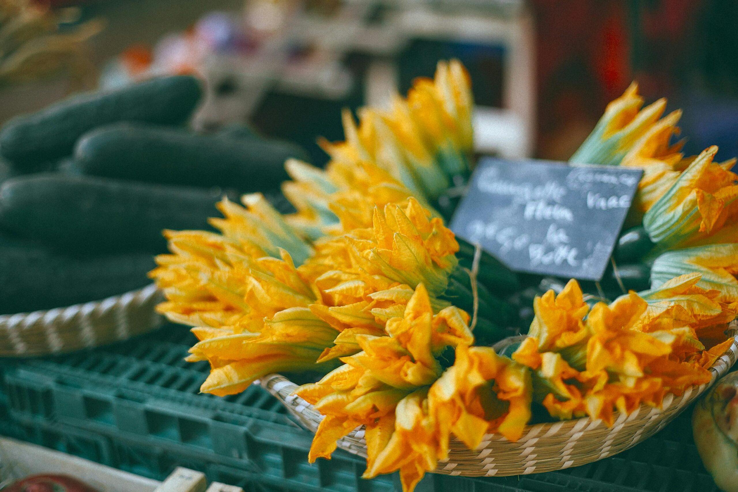 Fiori di zucca ricette veloci