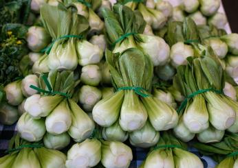 Come cucinare il pak choi, il cavolo cinese