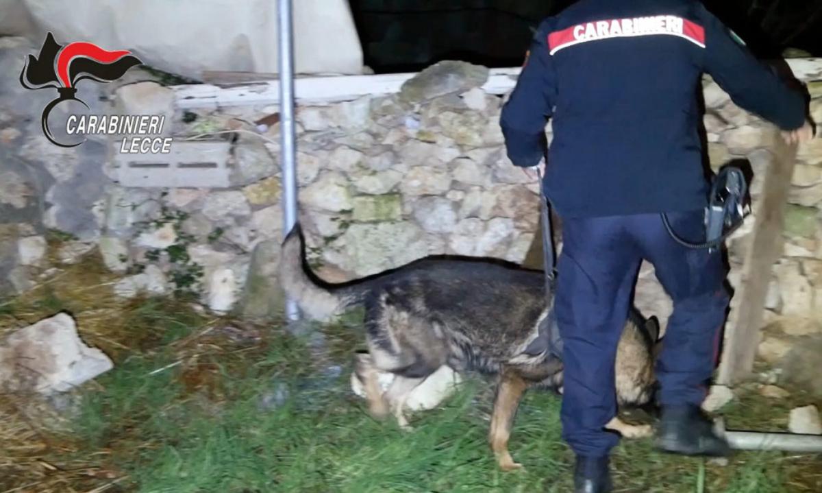 Lecce, nascondeva in casa 3mila euro di droga: arrestato un 23enne